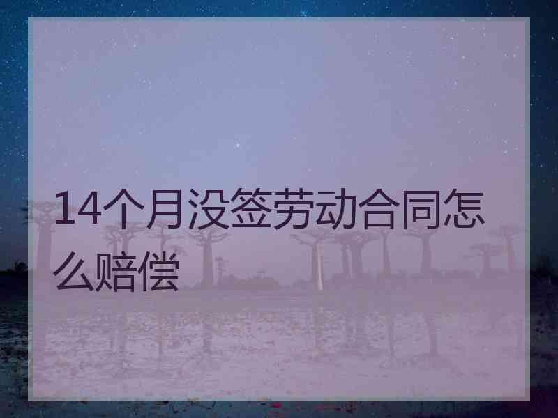 14个月没签劳动合同怎么赔偿