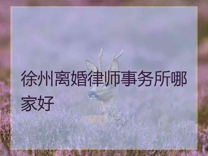 徐州离婚律师事务所哪家好