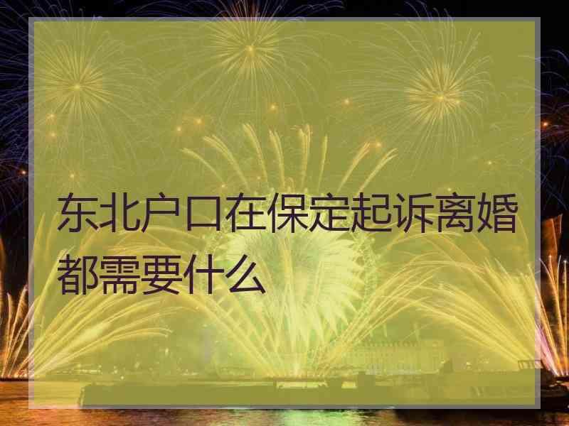 东北户口在保定起诉离婚都需要什么