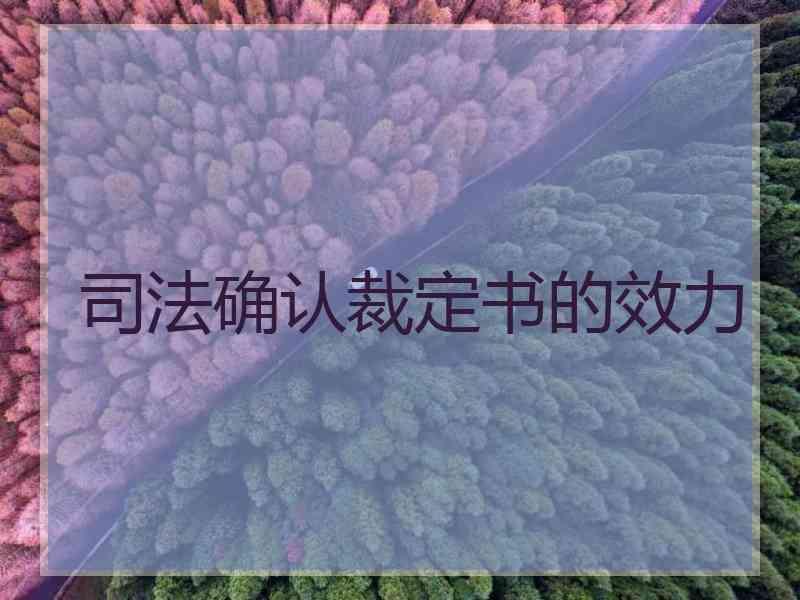 确认裁定书的效力