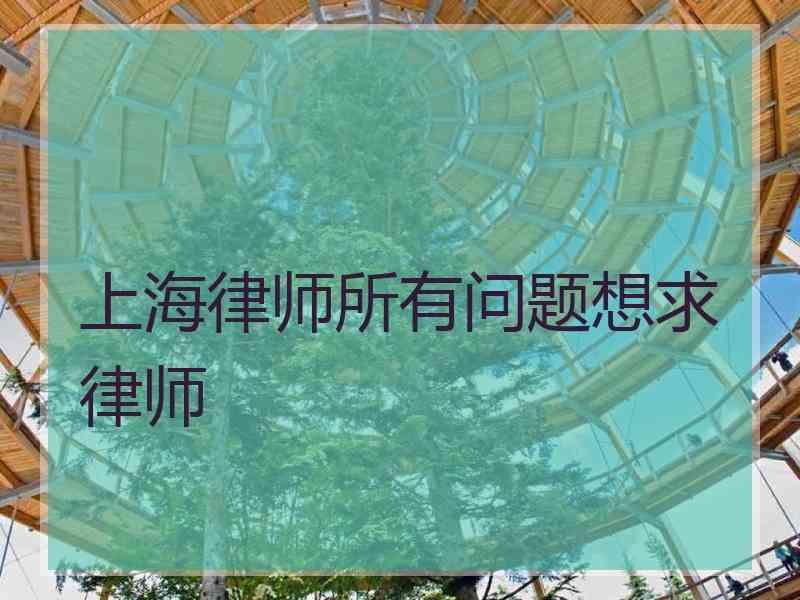 上海律师所有问题想求律师