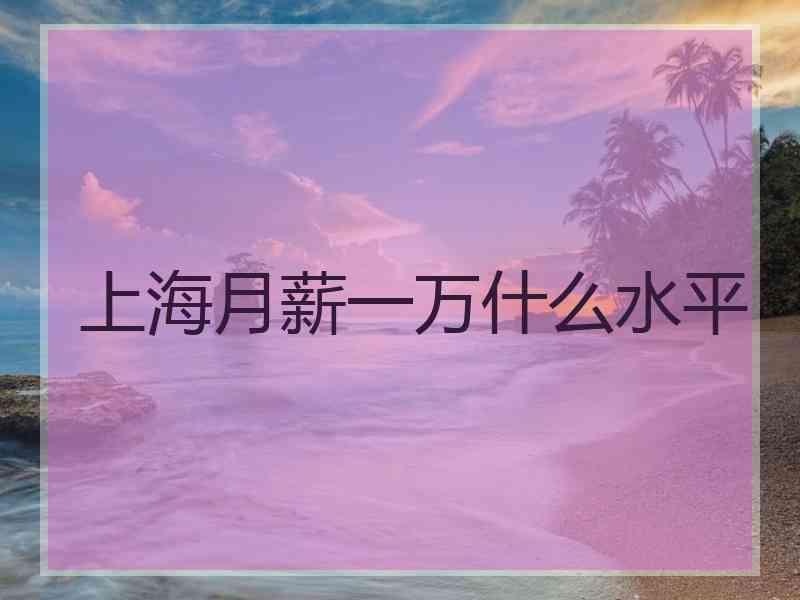 上海月薪一万什么水平