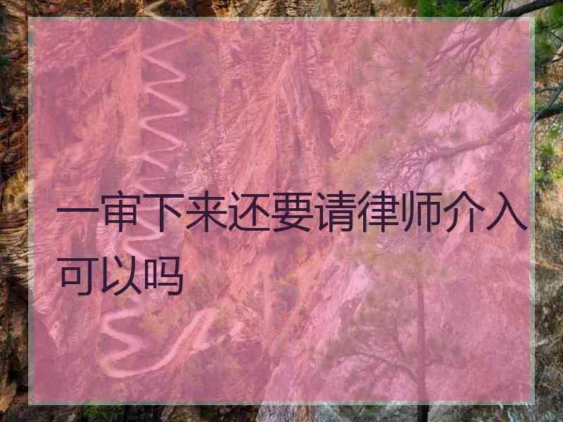 一审下来还要请律师介入可以吗