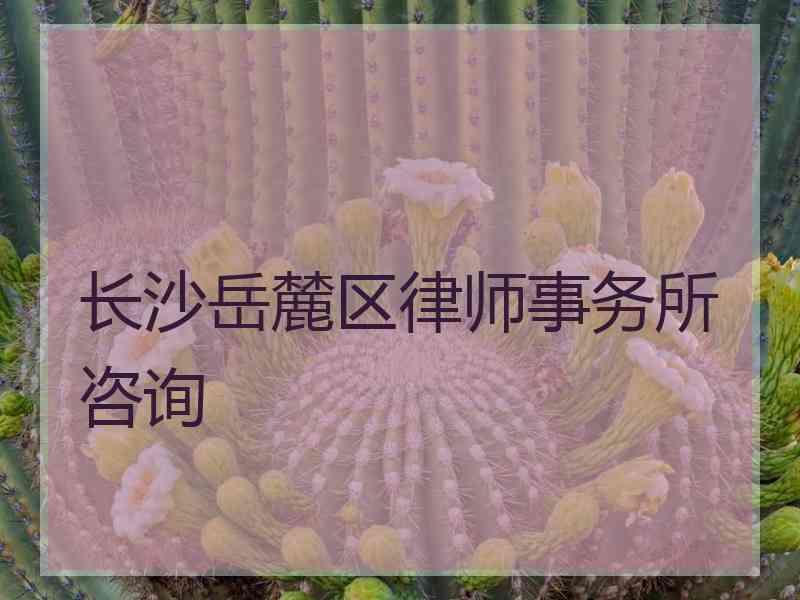 长沙岳麓区律师事务所咨询