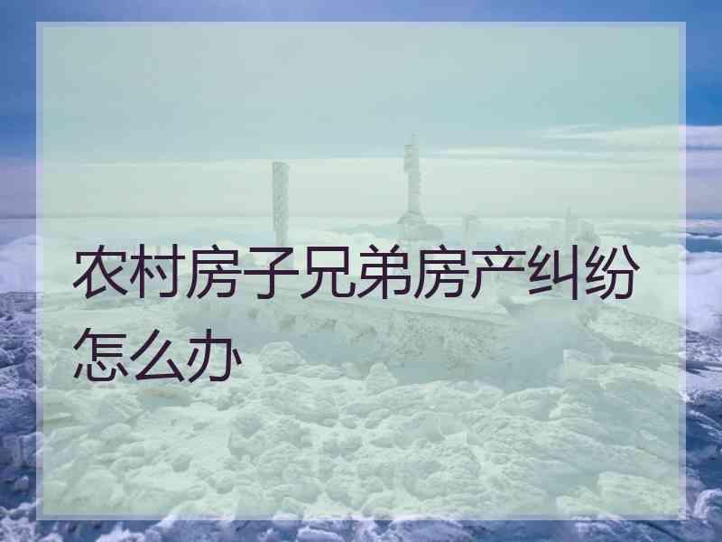 农村房子兄弟房产纠纷怎么办
