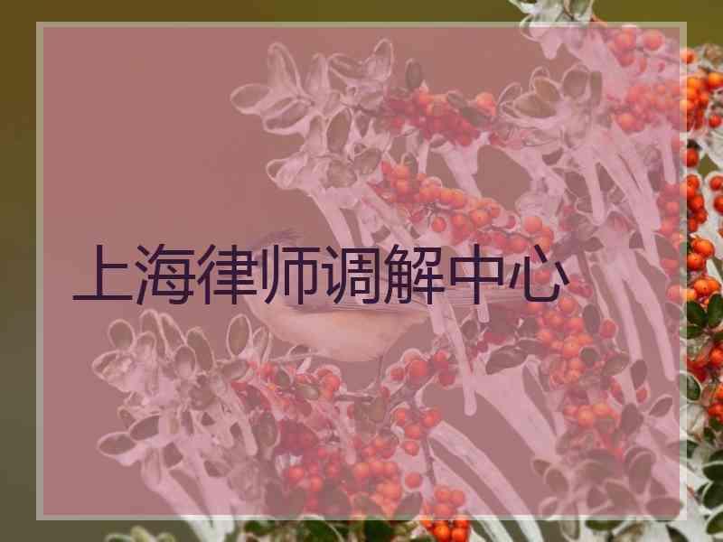 上海律师调解中心