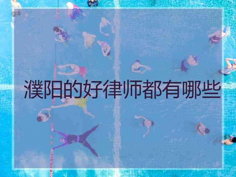 濮阳的好律师都有哪些