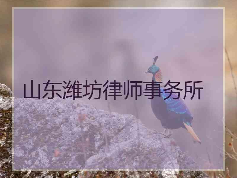 山东潍坊律师事务所