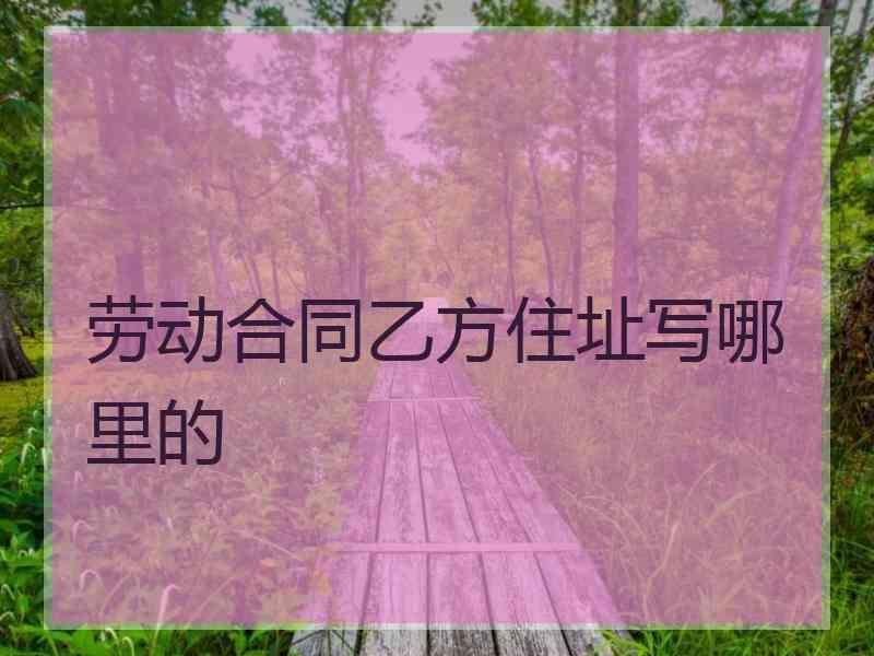 劳动合同乙方住址写哪里的