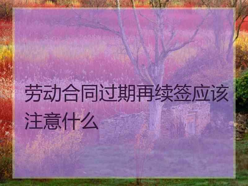 劳动合同过期再续签应该注意什么