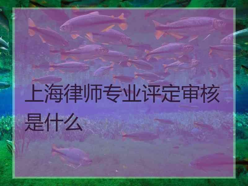 上海律师专业评定审核是什么