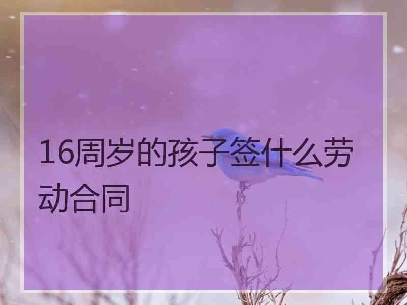 16周岁的孩子签什么劳动合同