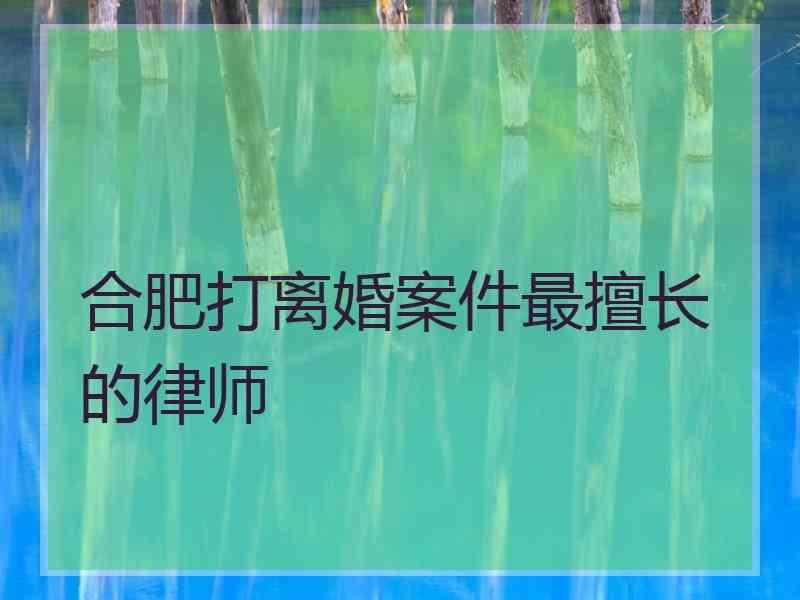 合肥打离婚案件最擅长的律师