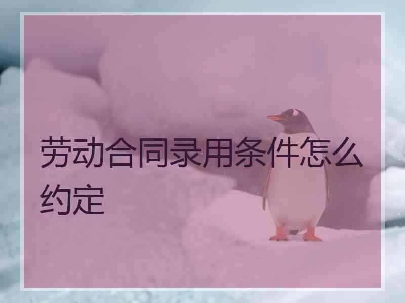 劳动合同录用条件怎么约定