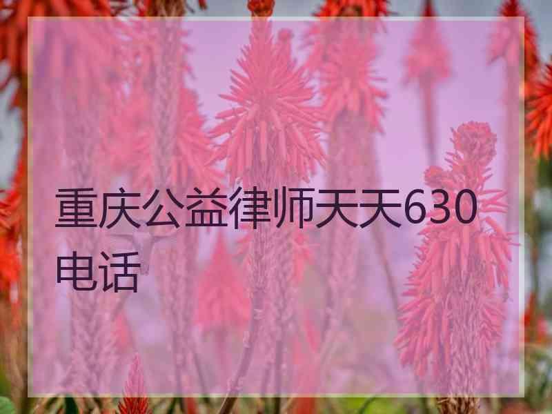 重庆公益律师天天630电话