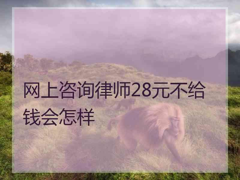 网上咨询律师28元不给钱会怎样