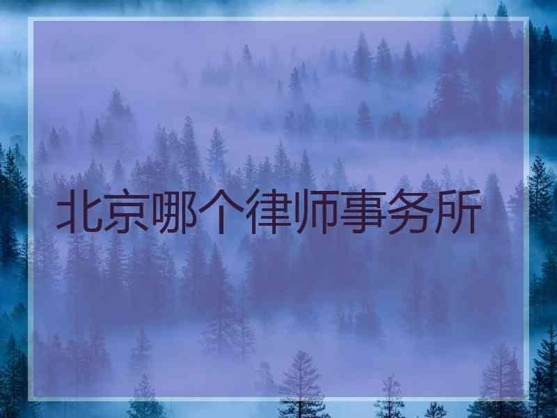 北京哪个律师事务所