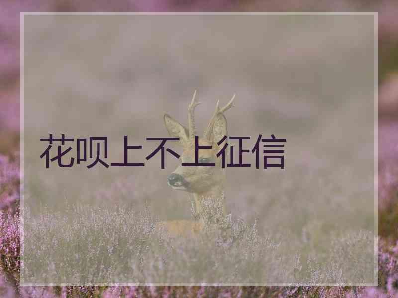 花呗上不上征信