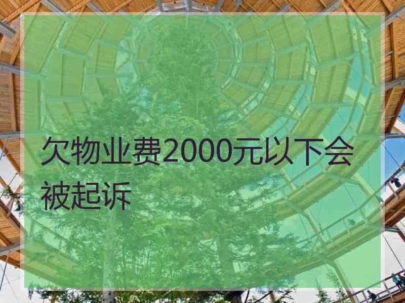 欠物业费2000元以下会被起诉