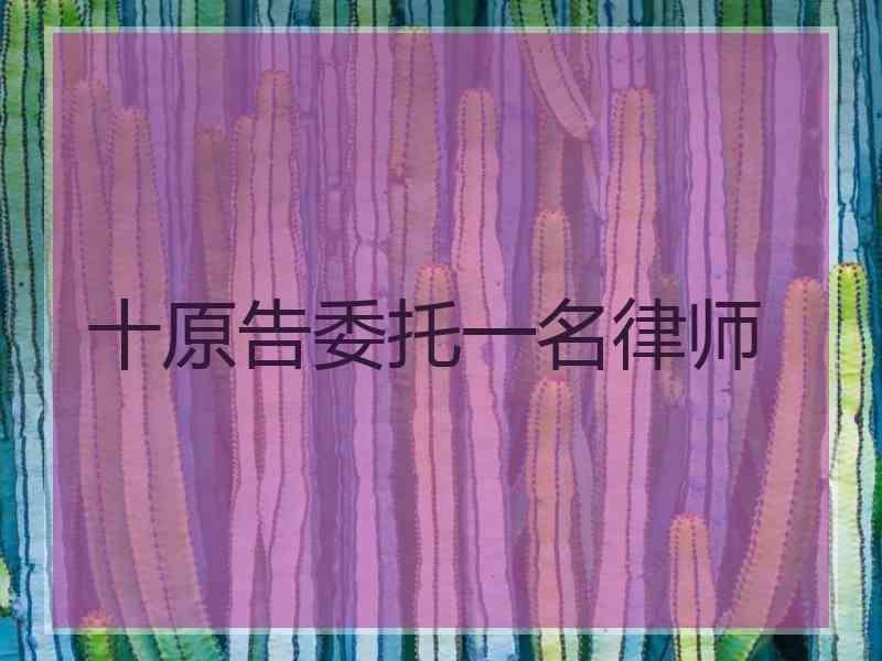 十原告委托一名律师