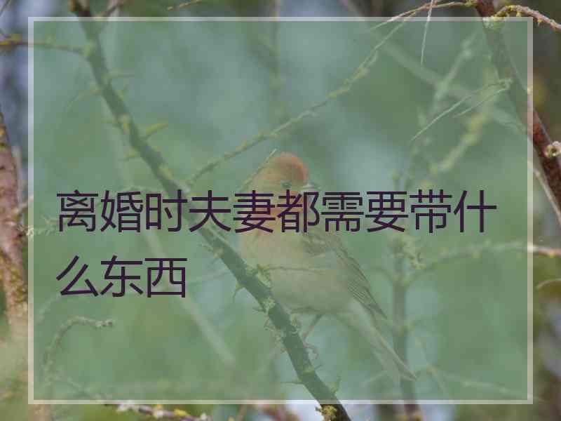 离婚时夫妻都需要带什么东西