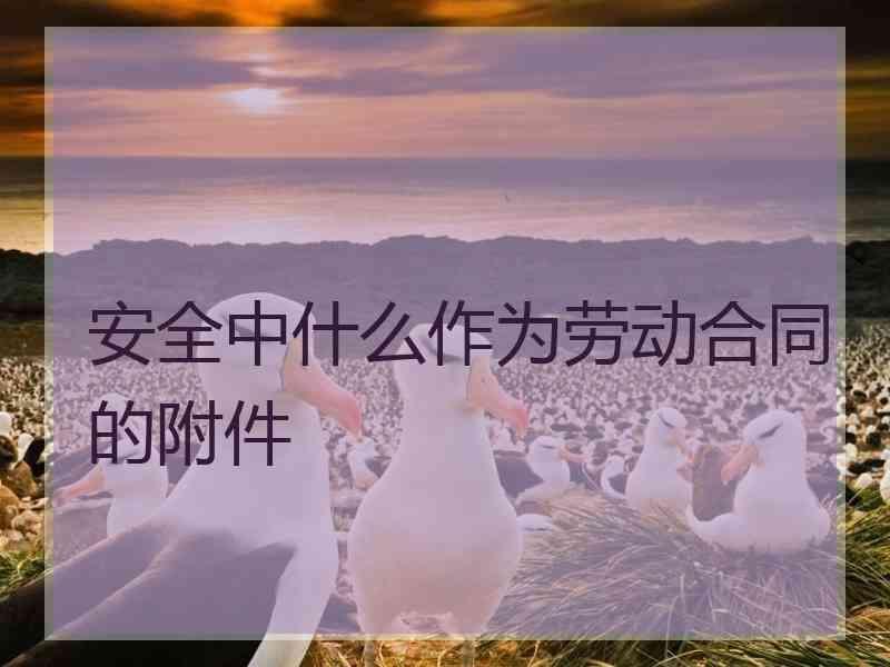 安全中什么作为劳动合同的附件