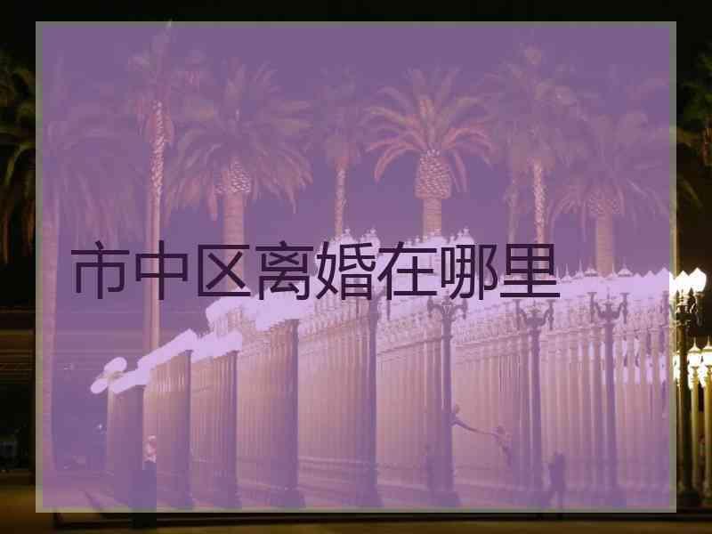 市中区离婚在哪里