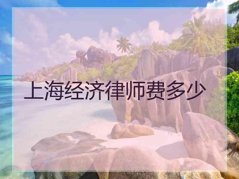 上海经济律师费多少