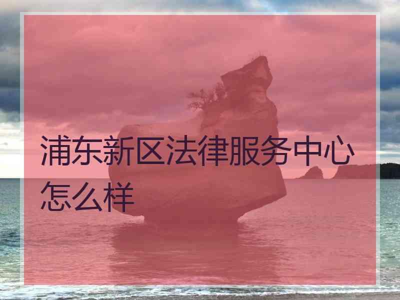 浦东新区法律服务中心怎么样