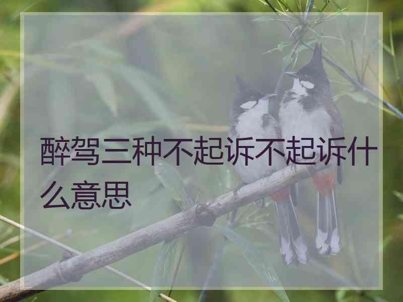 醉驾三种不起诉不起诉什么意思