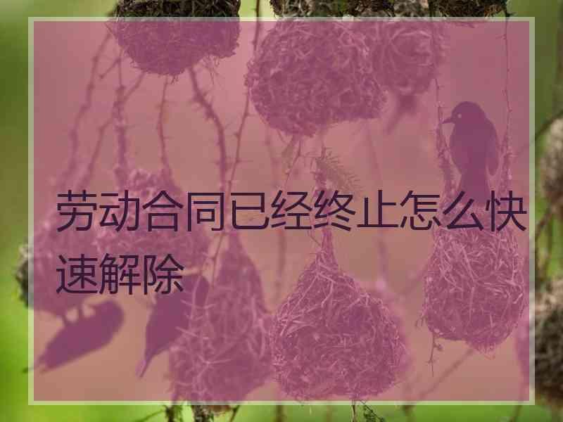 劳动合同已经终止怎么快速解除
