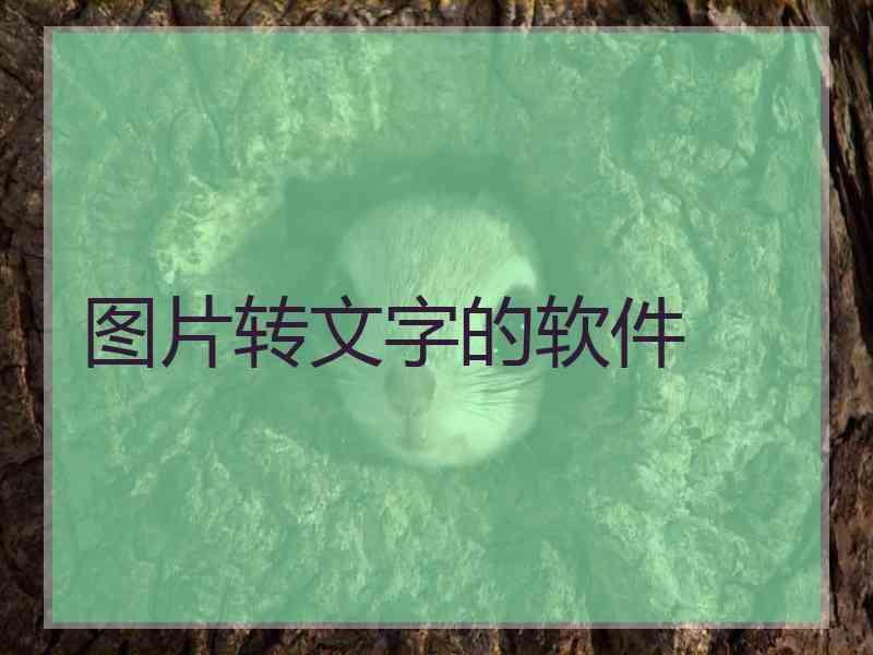 图片转文字的软件