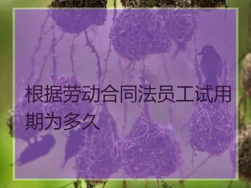 根据劳动合同法员工试用期为多久