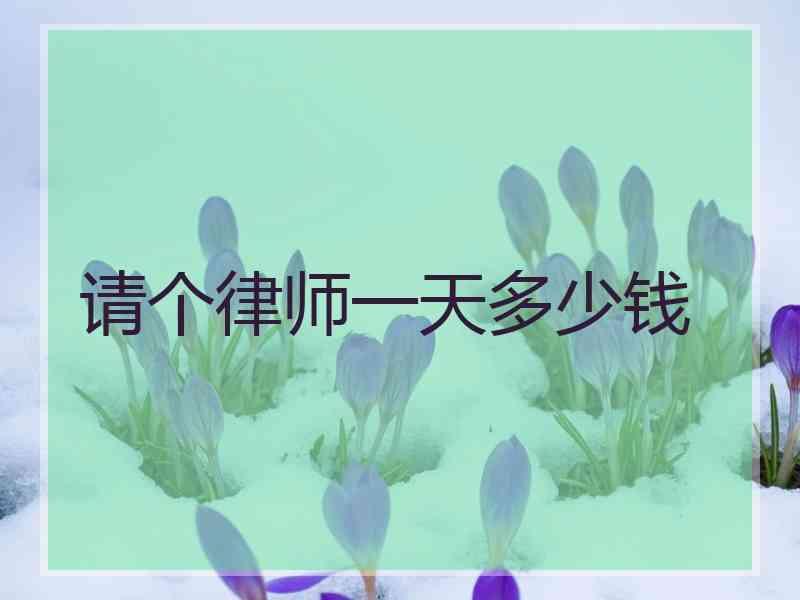 请个律师一天多少钱