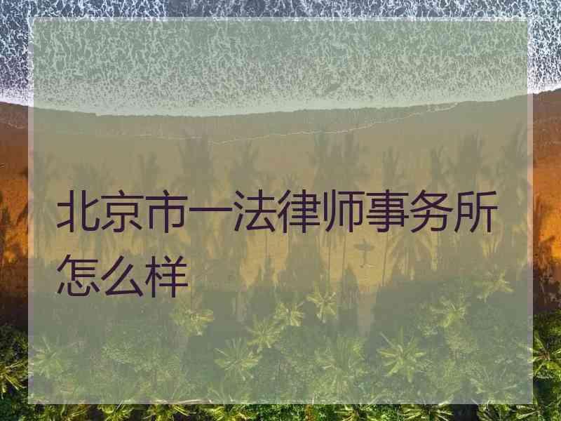 北京市一法律师事务所怎么样