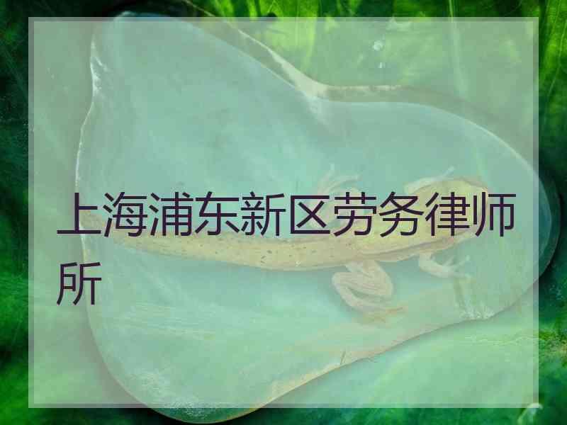 上海浦东新区劳务律师所