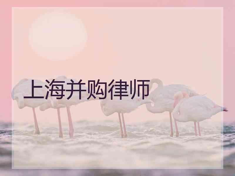 上海并购律师