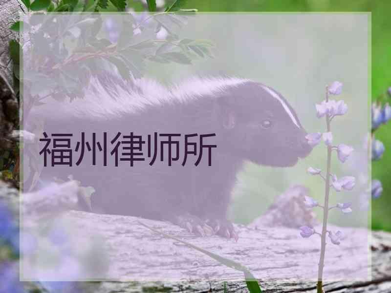 福州律师所