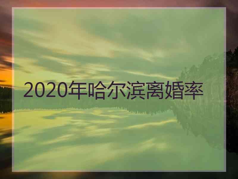 2020年哈尔滨离婚率