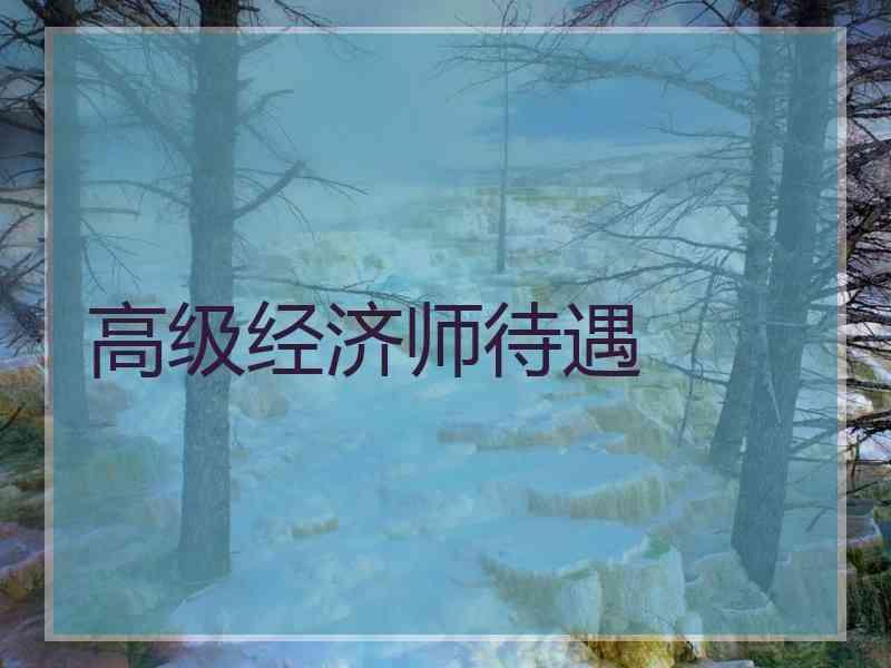 高级经济师待遇