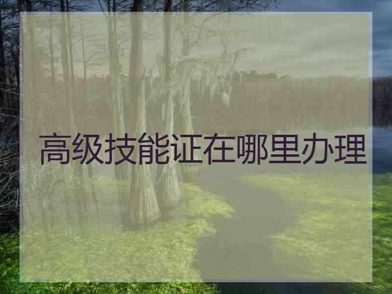 高级技能证在哪里办理