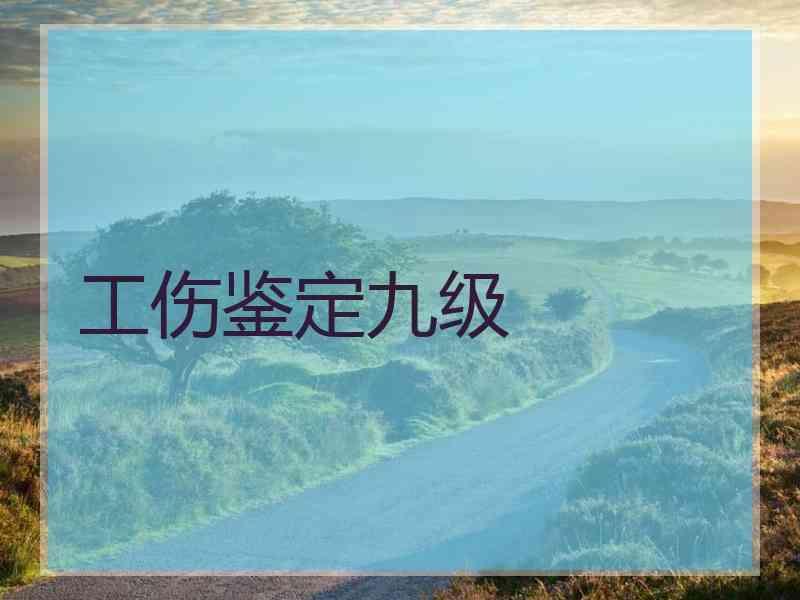 工伤鉴定九级
