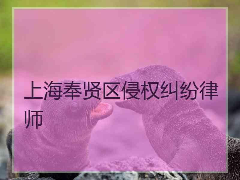 上海奉贤区侵权纠纷律师
