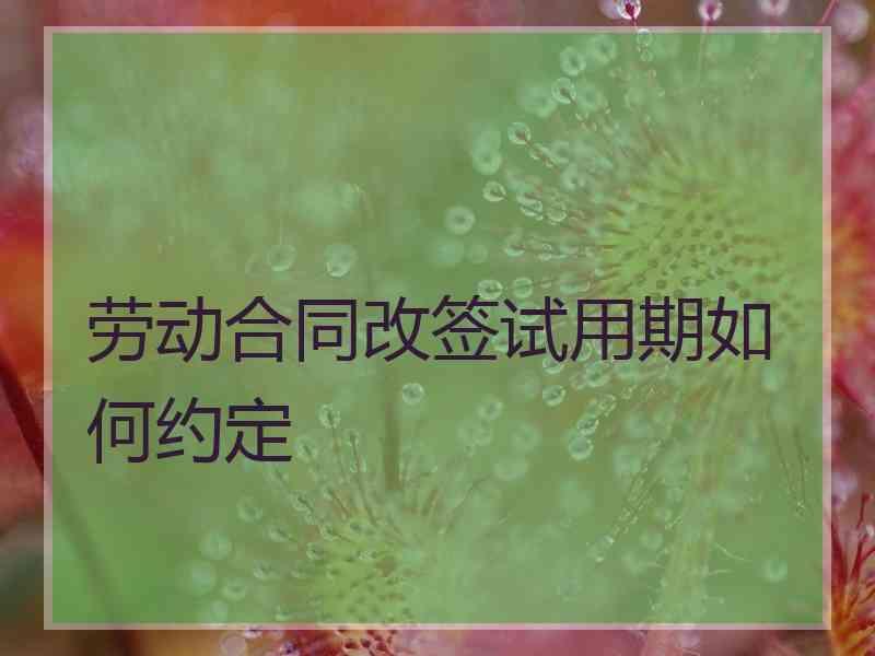 劳动合同改签试用期如何约定