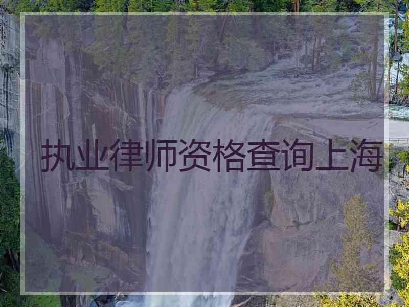 执业律师资格查询上海