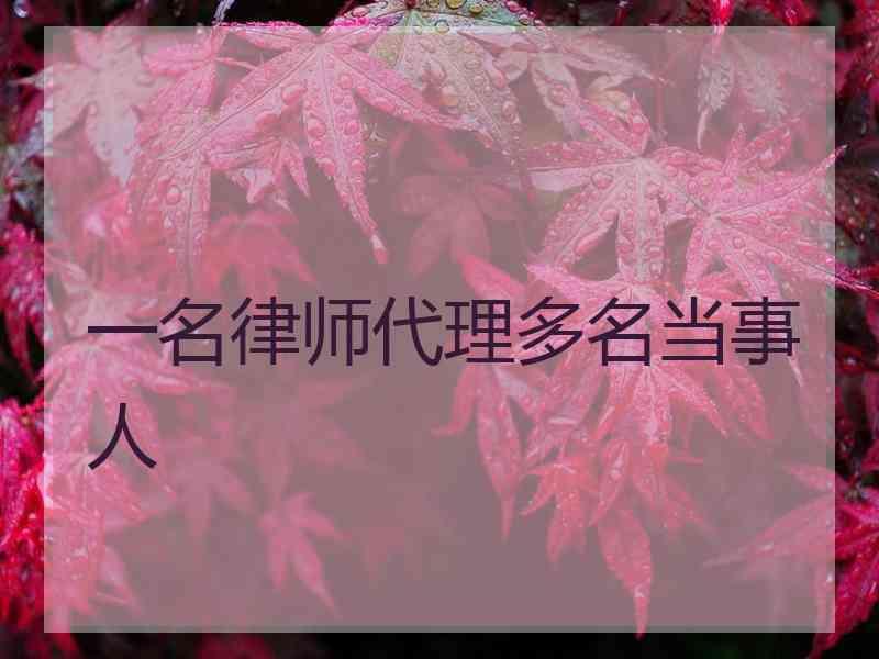 一名律师代理多名当事人