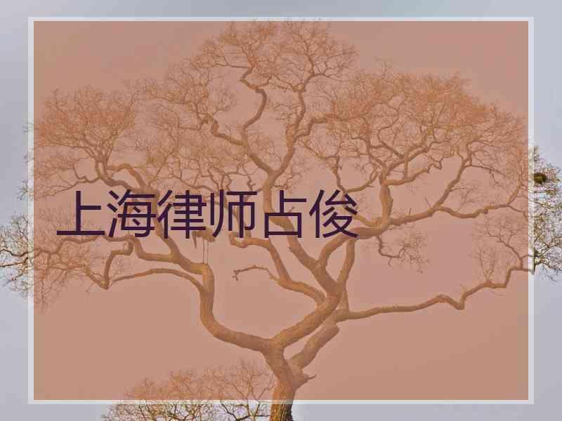 上海律师占俊