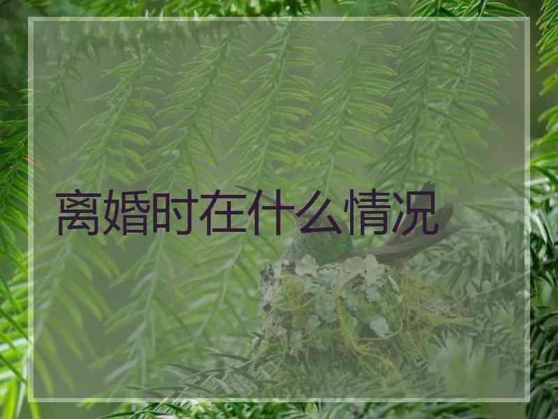 离婚时在什么情况