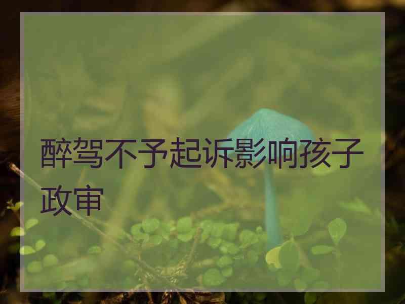 醉驾不予起诉影响孩子政审