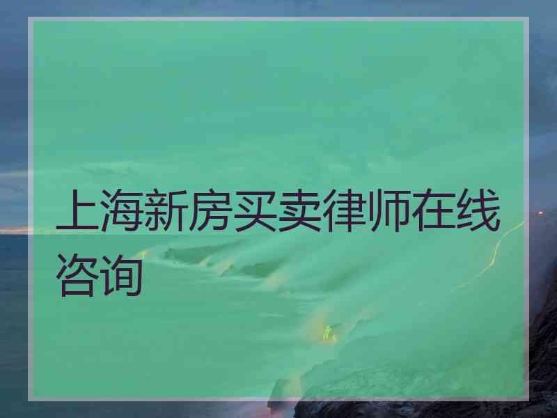 上海新房买卖律师在线咨询